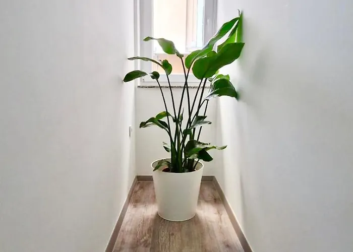 아파트 Cozy W Free Parking 류블랴나